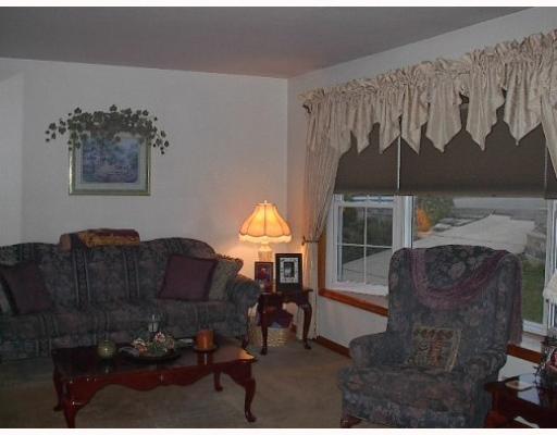 113 Hahn Road Pittsburgh, PA 15209 - Photo 2 of 8 Living Room. Bright sunny living room with newer bay window and neutral carpet.