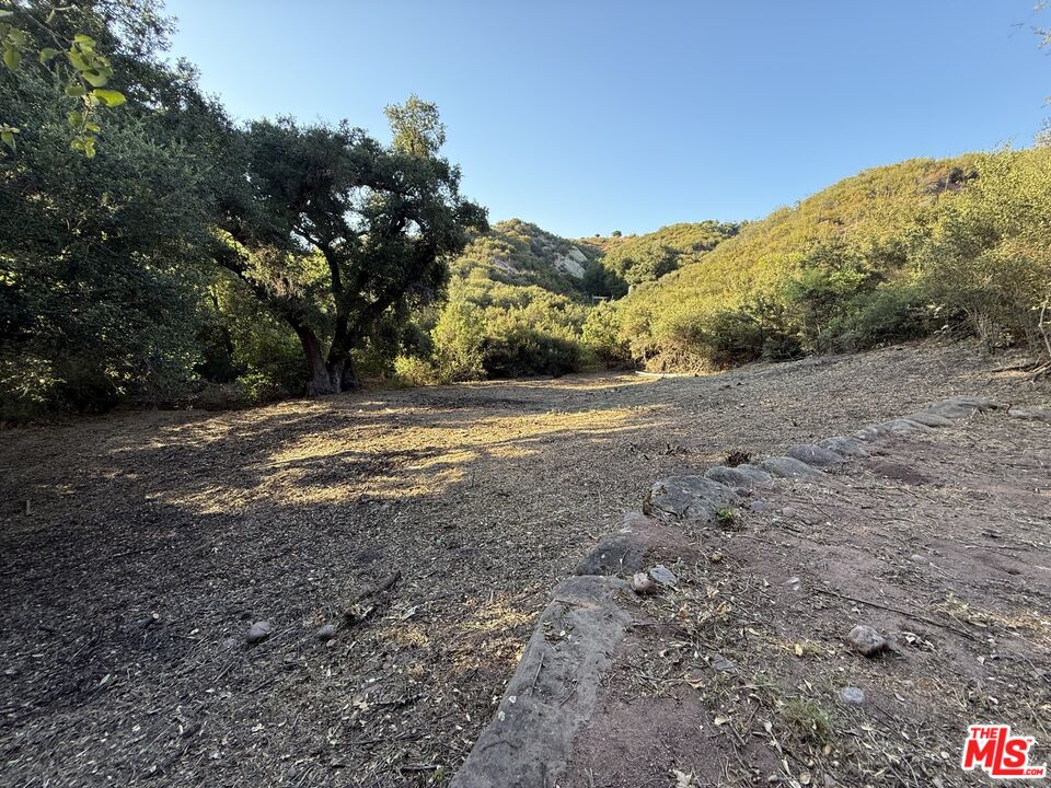 0 Red Rock Road Topanga, CA 90290 - Photo 6 of 53 a view of a yard with a tree