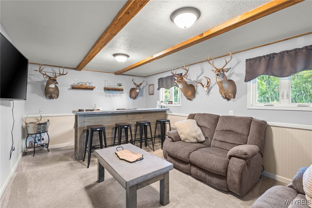 45 Drake Road Hamlin, NY 14464 - Photo 2 of 47