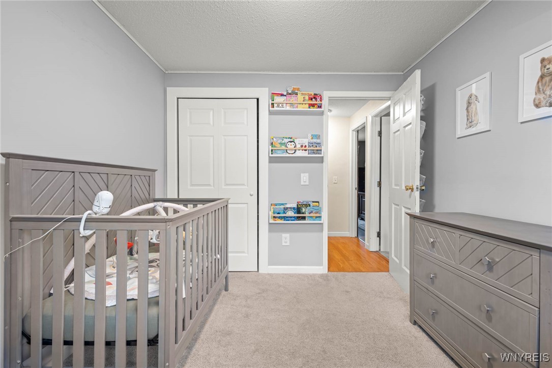 45 Drake Road Hamlin, NY 14464 - Photo 24 of 47