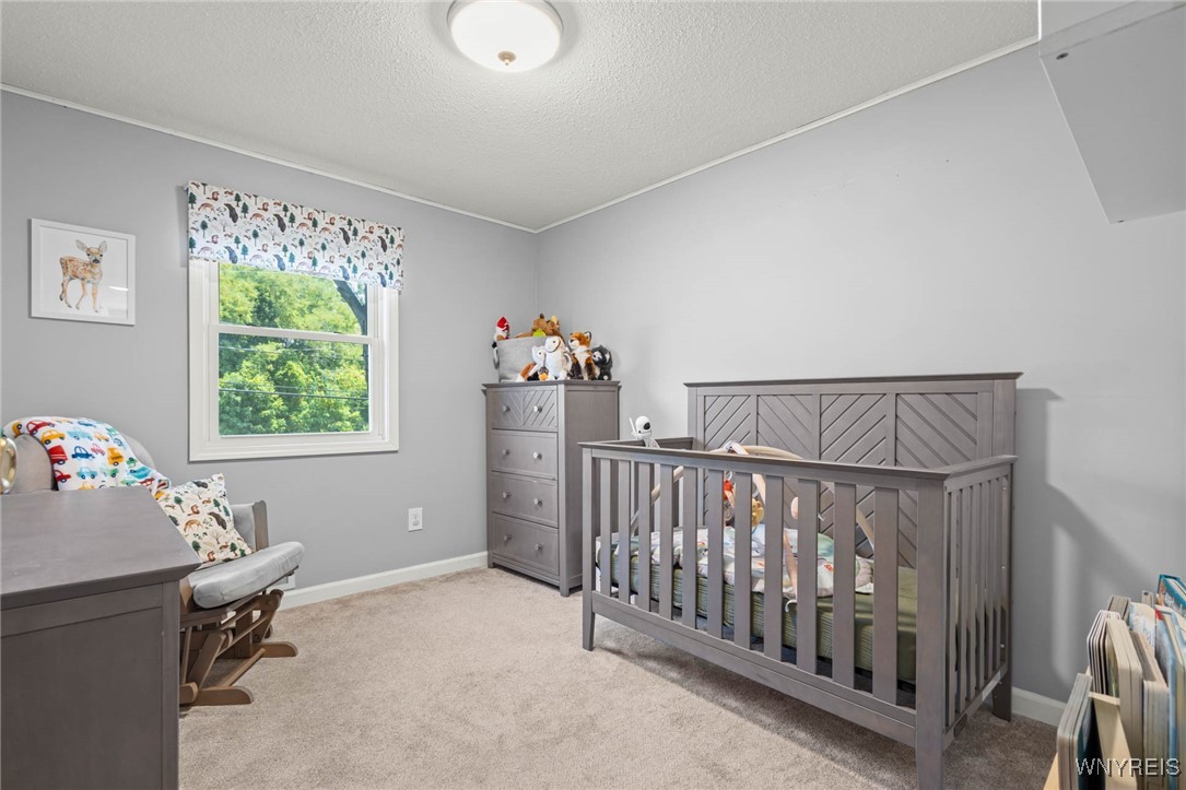 45 Drake Road Hamlin, NY 14464 - Photo 25 of 47