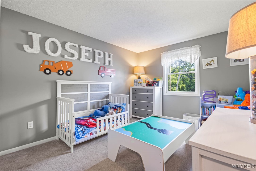 45 Drake Road Hamlin, NY 14464 - Photo 27 of 47