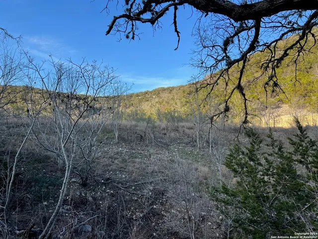 a view of a dry field
