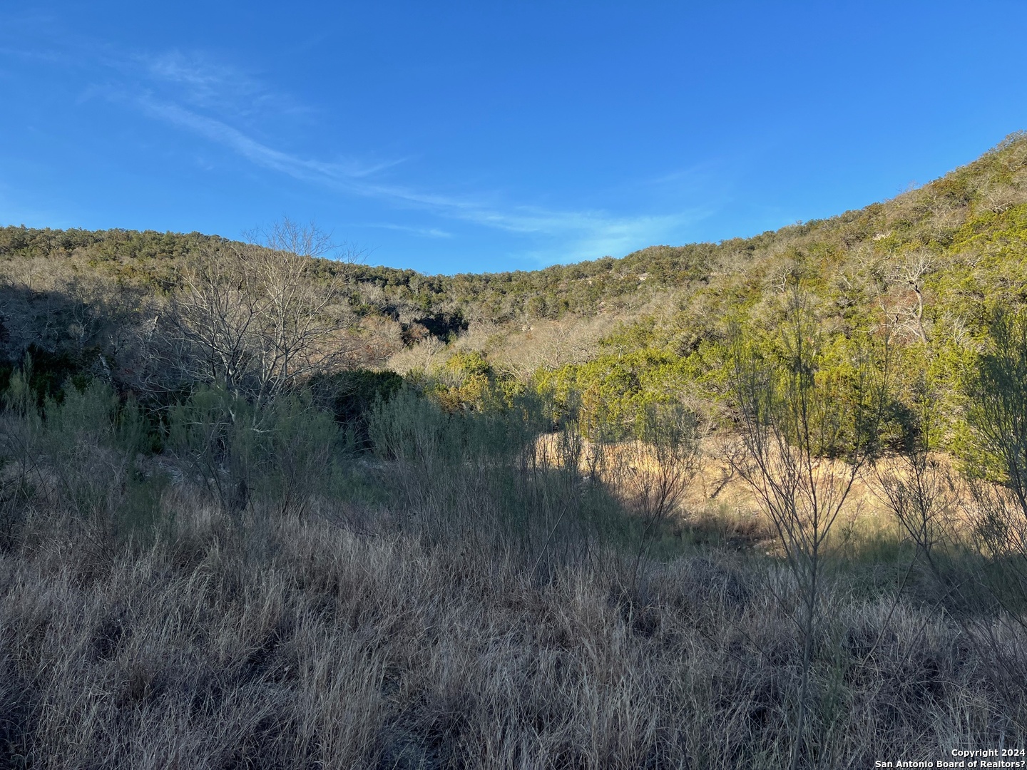 696 Chili Canyon Road Tarpley, TX 78883 - Photo 14 of 18 a view of a dry yard with mountains in the background