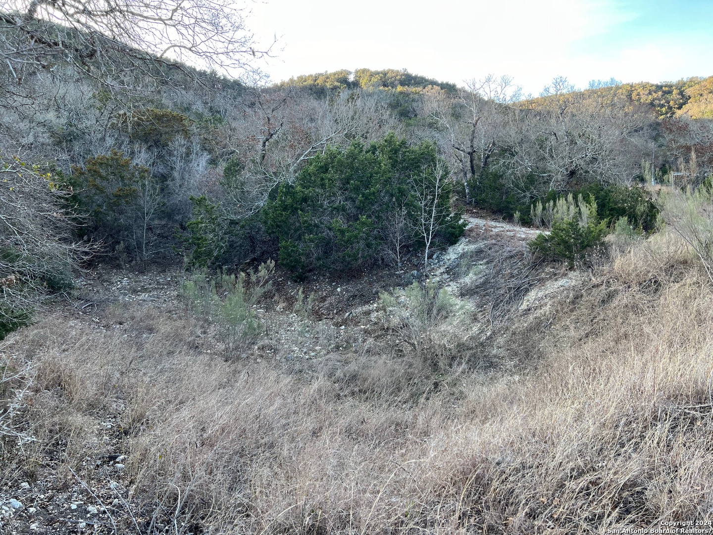 696 Chili Canyon Road Tarpley, TX 78883 - Photo 15 of 18 a view of a dry field