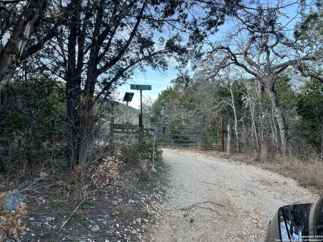 a view of a forest with trees in the background