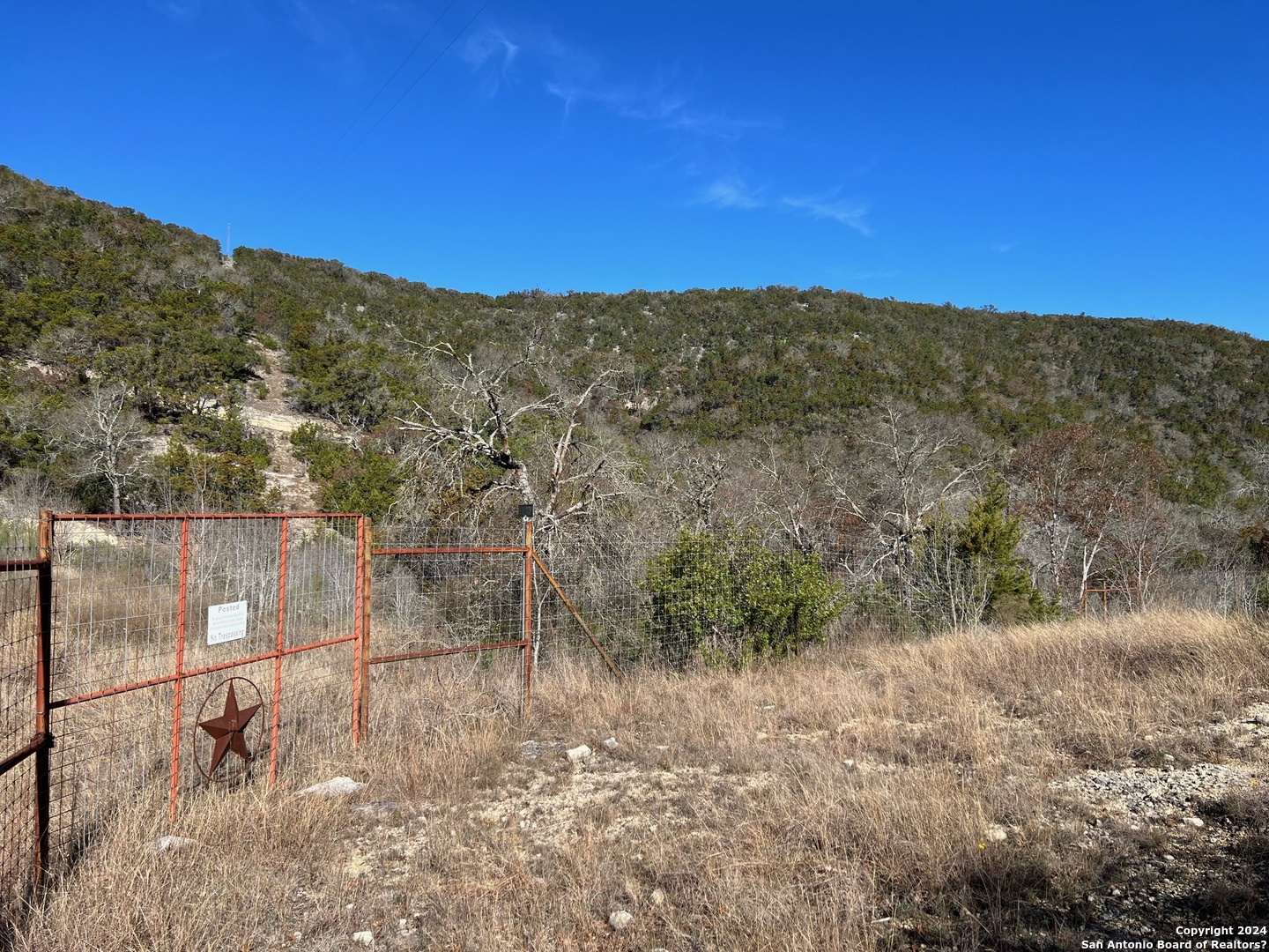 696 Chili Canyon Road Tarpley, TX 78883 - Photo 4 of 18 a view of a yard
