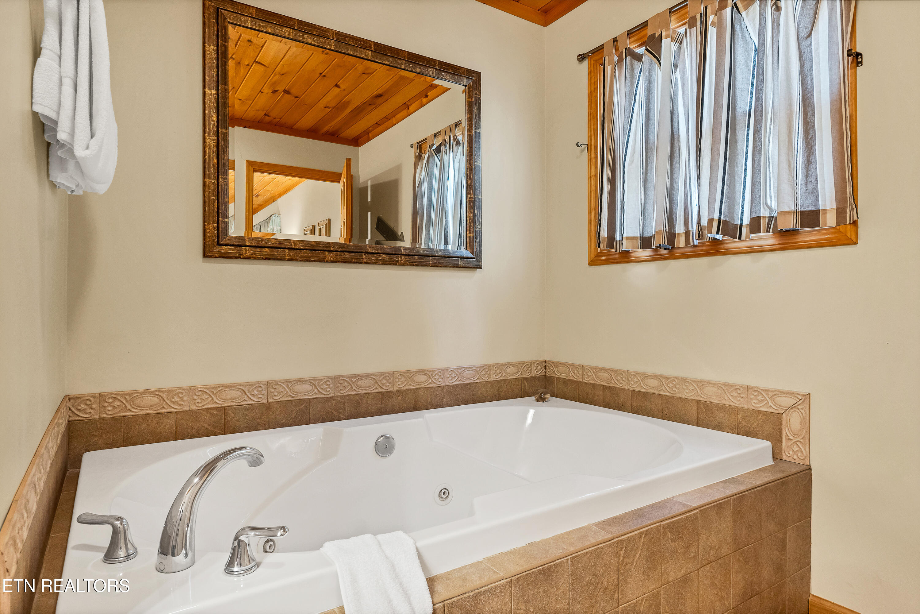 319 Rainbow Circle Townsend, TN 37882 - Photo 12 of 27 Jac. Tub