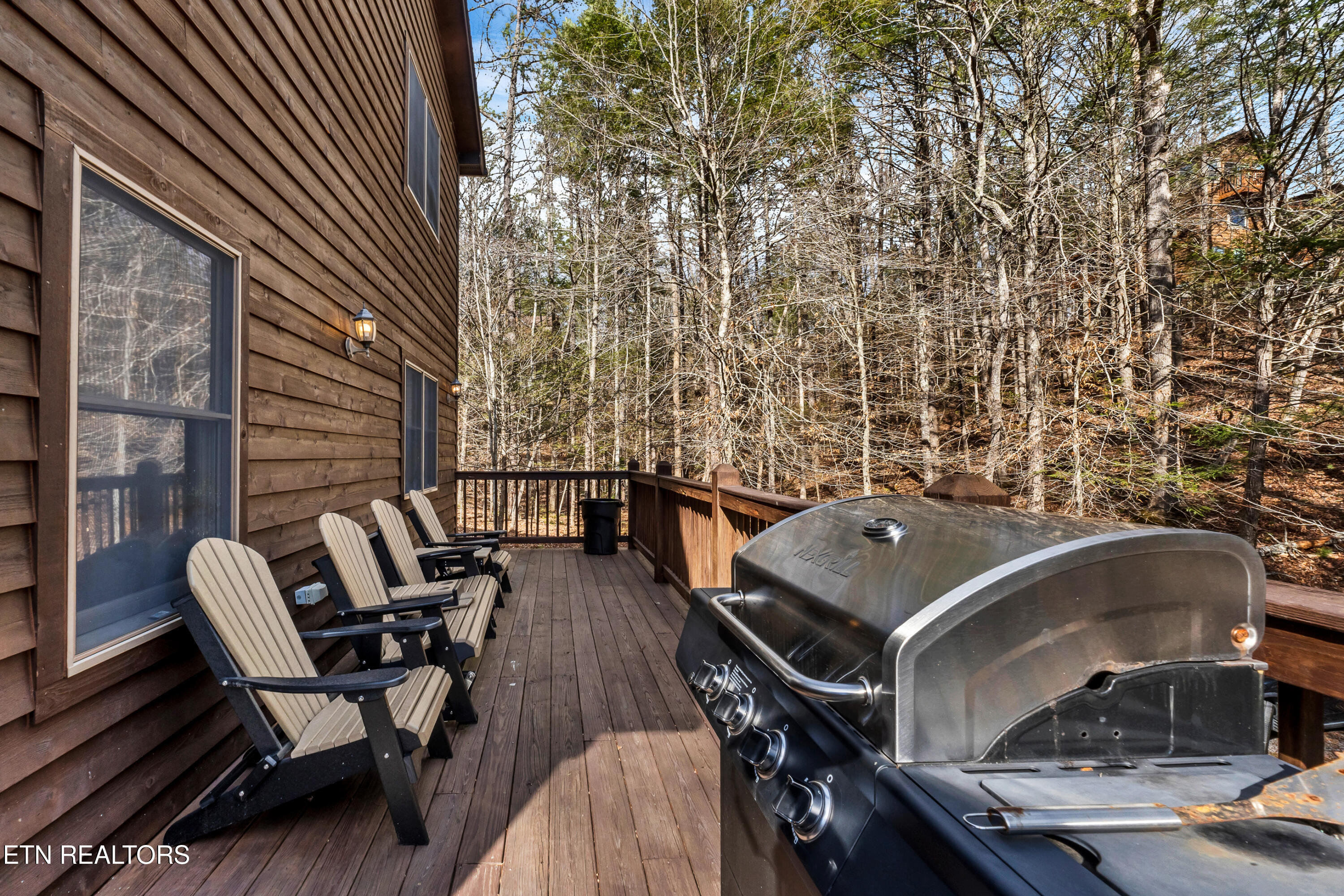 319 Rainbow Circle Townsend, TN 37882 - Photo 21 of 28 Side Deck