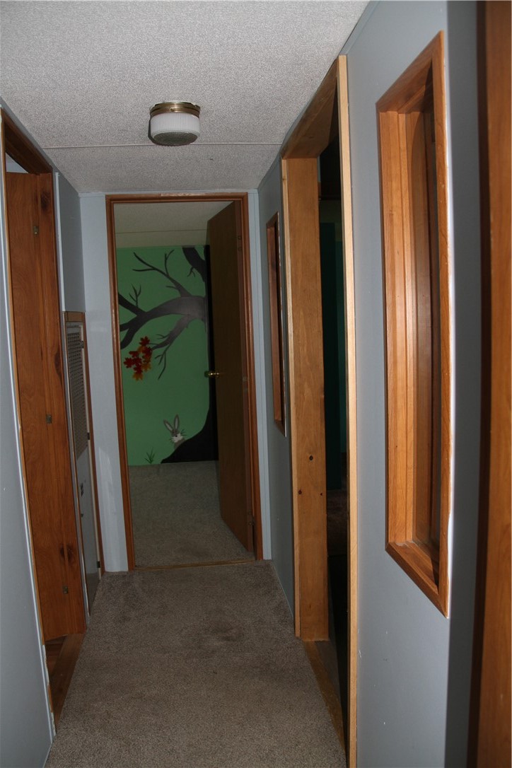 10625 County Rte 74 Prattsburgh, NY 14873 - Photo 29 of 41