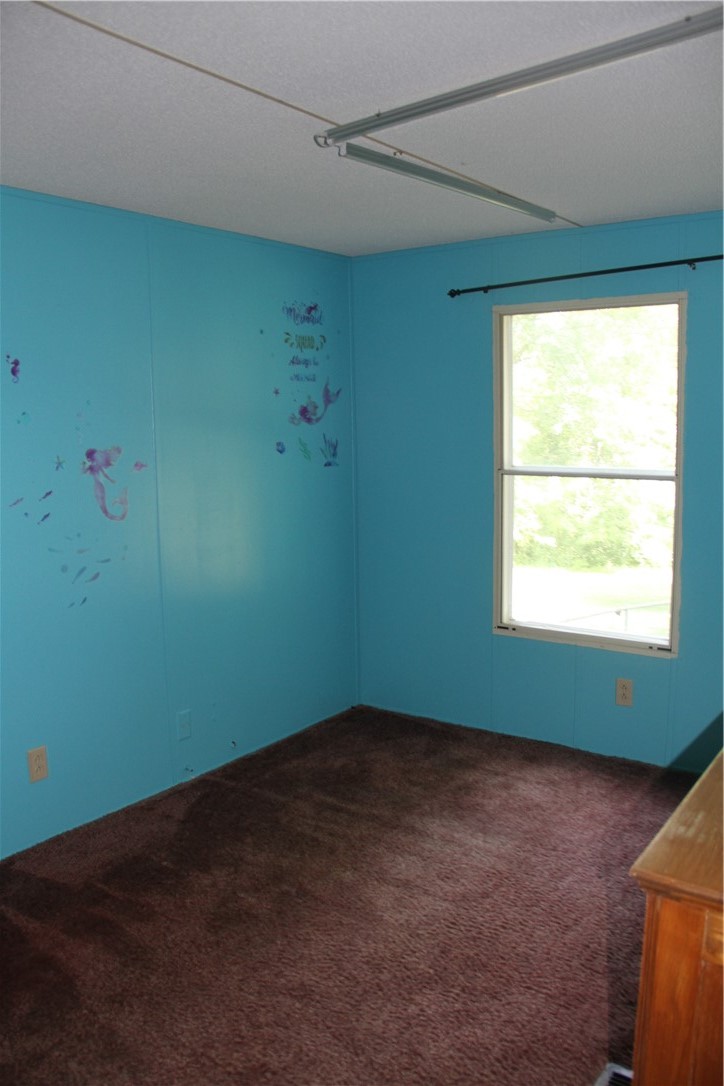 10625 County Rte 74 Prattsburgh, NY 14873 - Photo 9 of 41