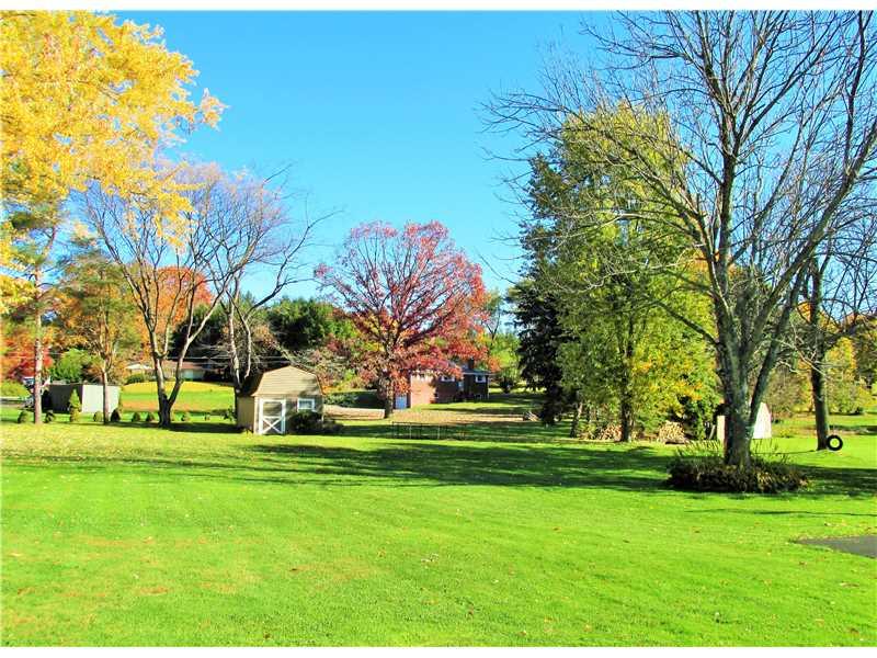 Yard/Garden. 