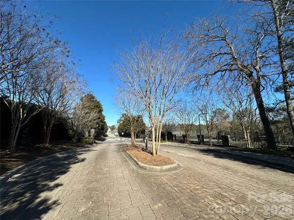 a view of road with with trees