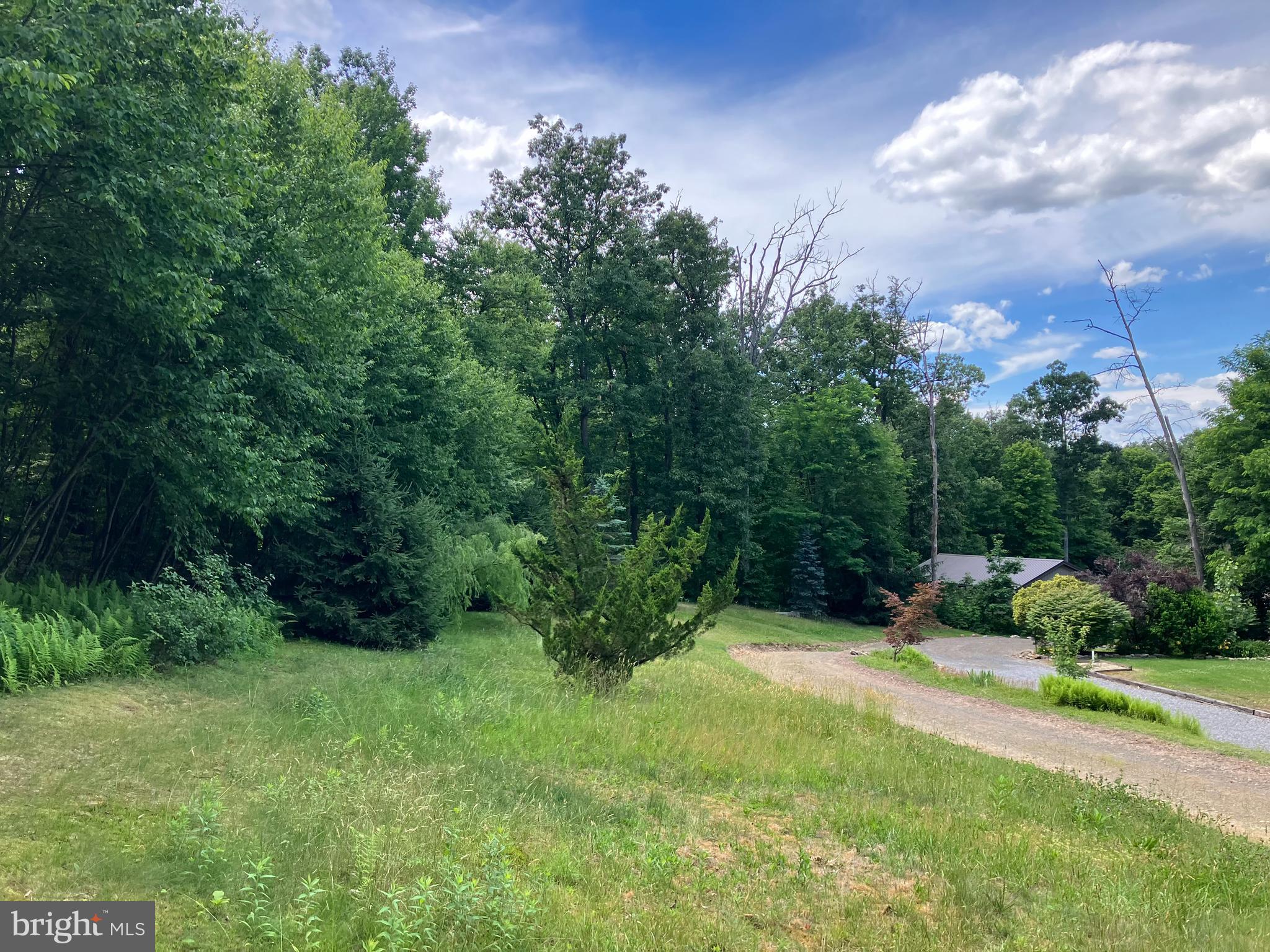 353 Upper Bailey Road Newport, PA 17074 - Photo 8 of 57
