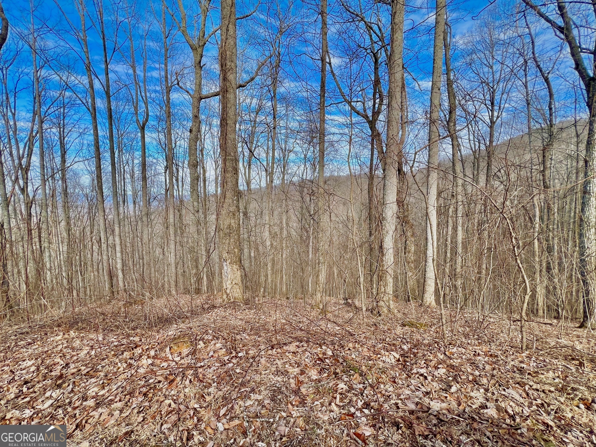 57 Rim Rock Young Harris, GA 30582 - Photo 11 of 16