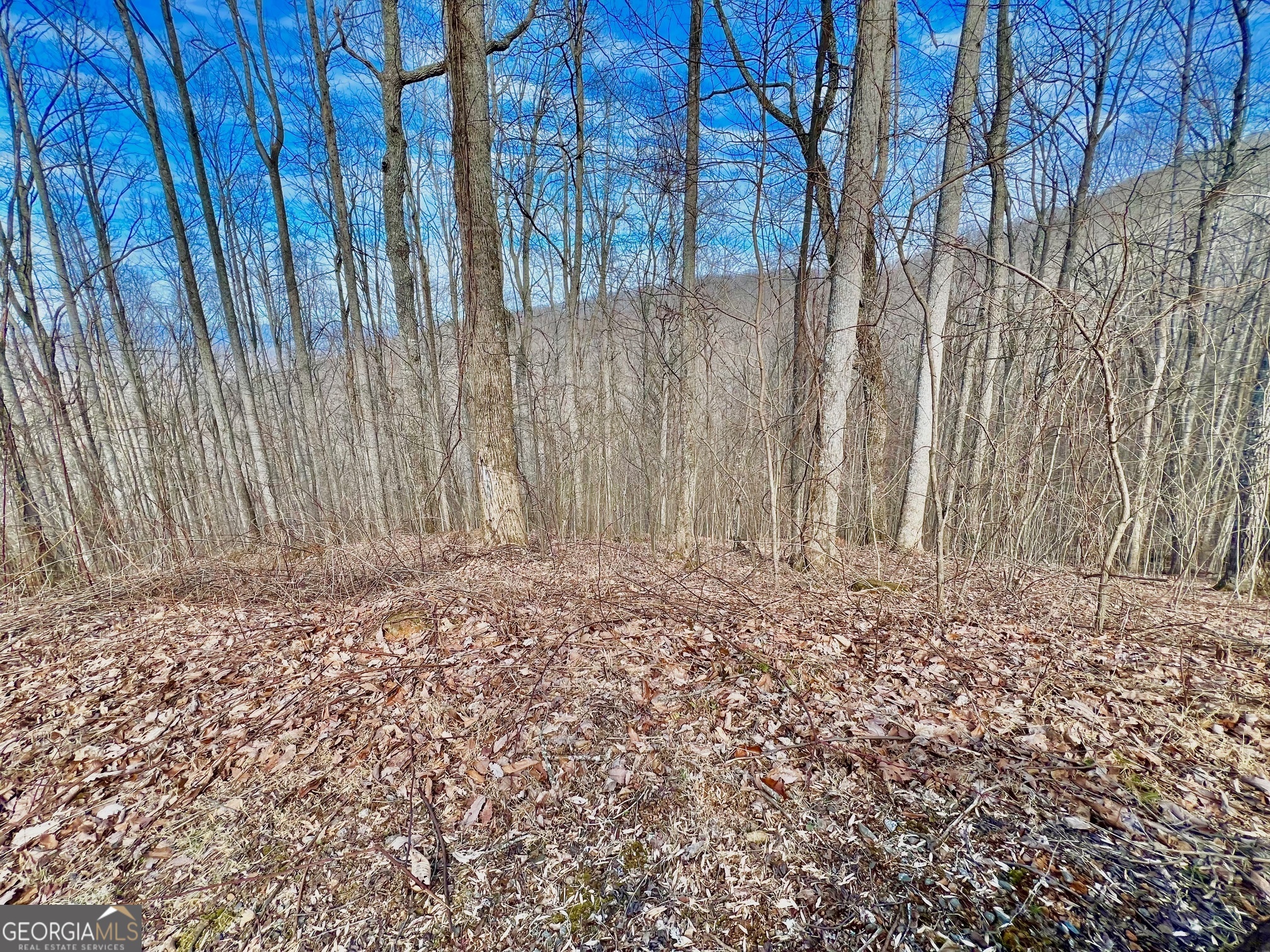 57 Rim Rock Young Harris, GA 30582 - Photo 12 of 16