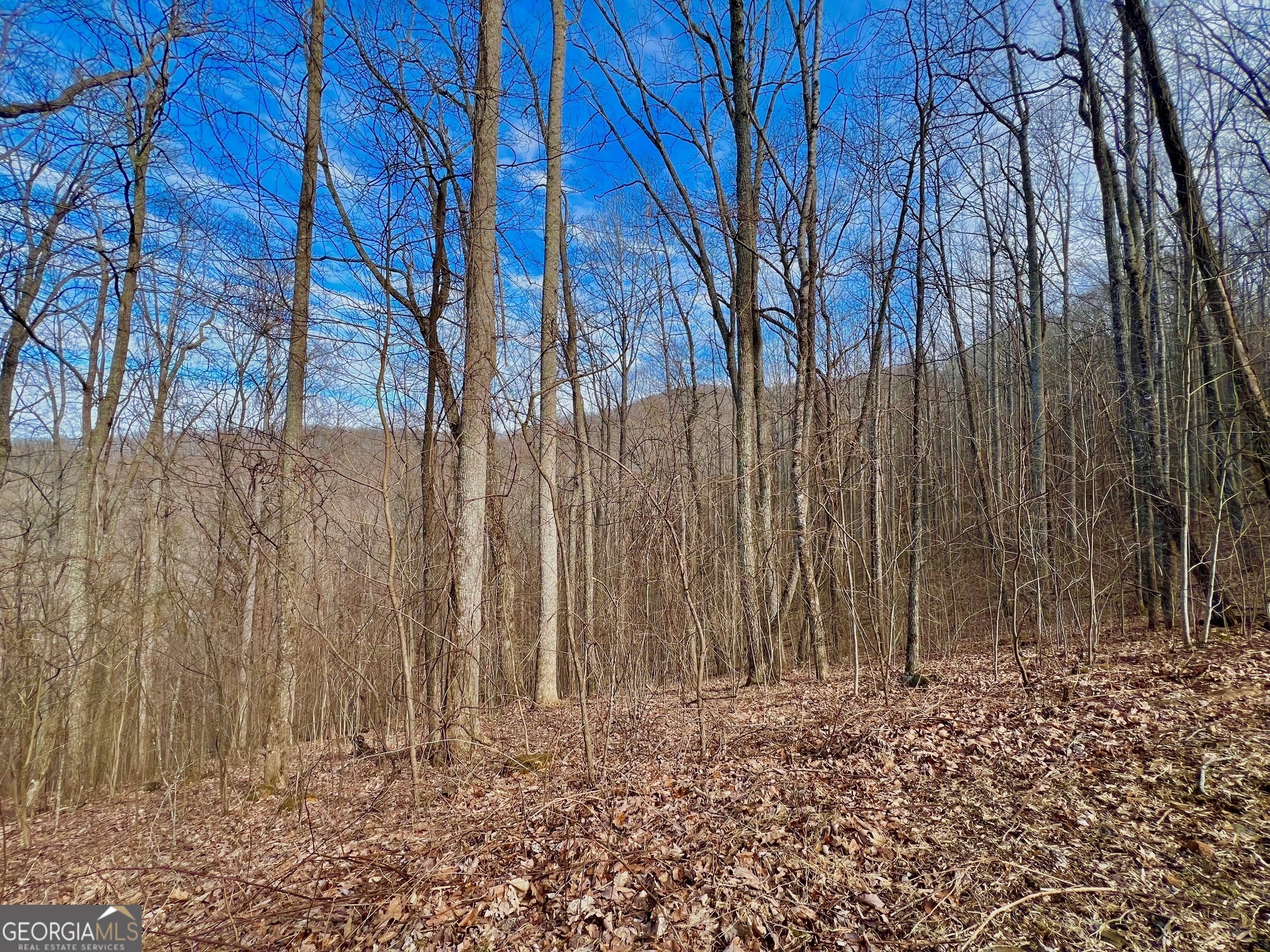 57 Rim Rock Young Harris, GA 30582 - Photo 13 of 16