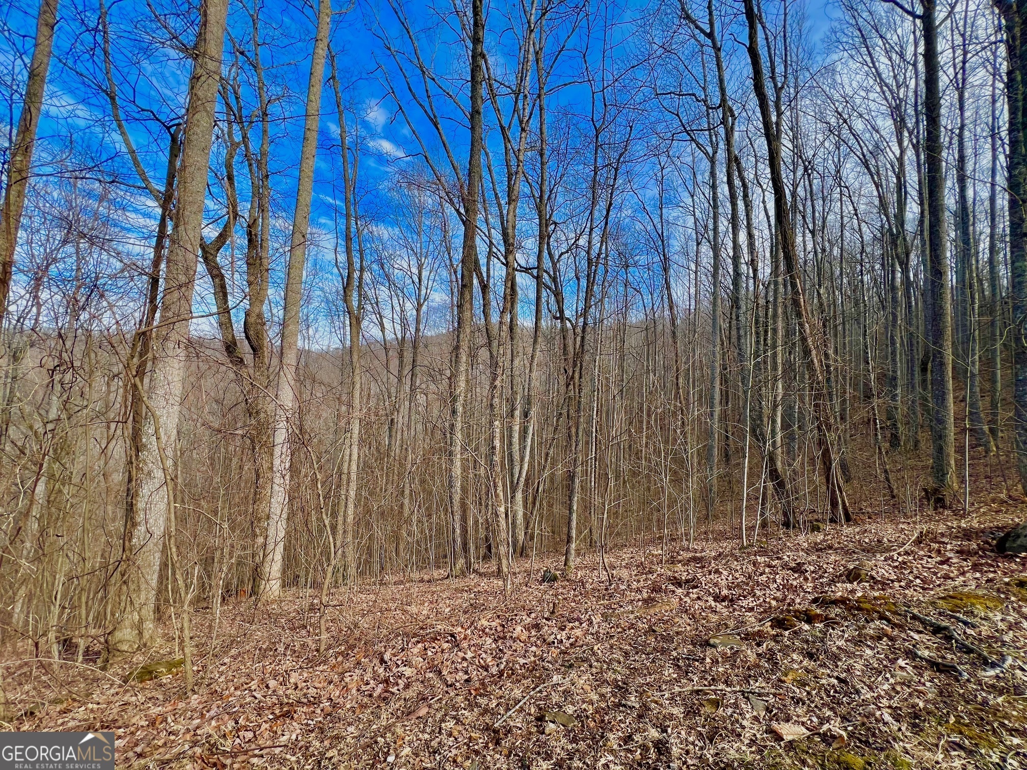 57 Rim Rock Young Harris, GA 30582 - Photo 14 of 16