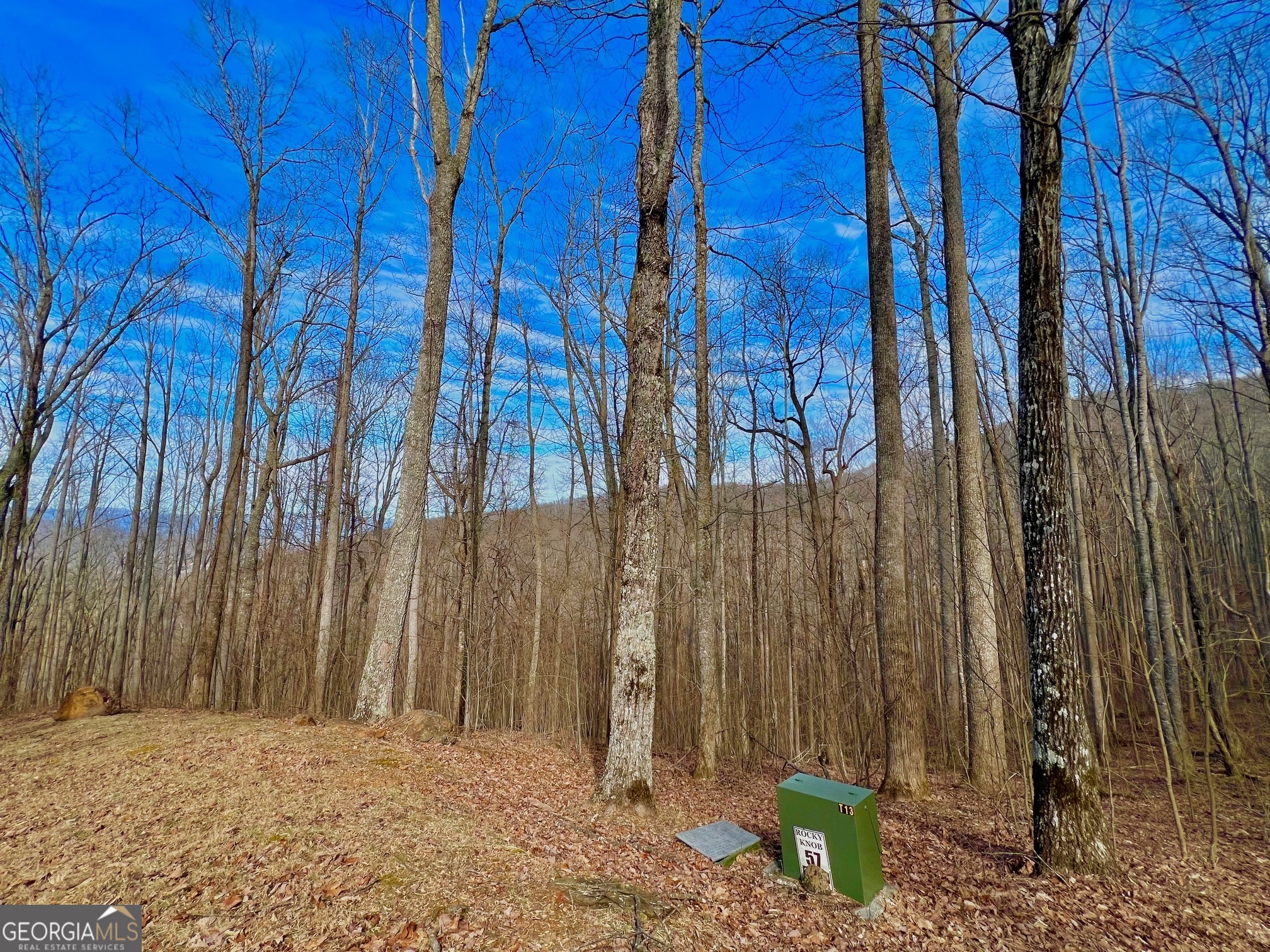 57 Rim Rock Young Harris, GA 30582 - Photo 15 of 16