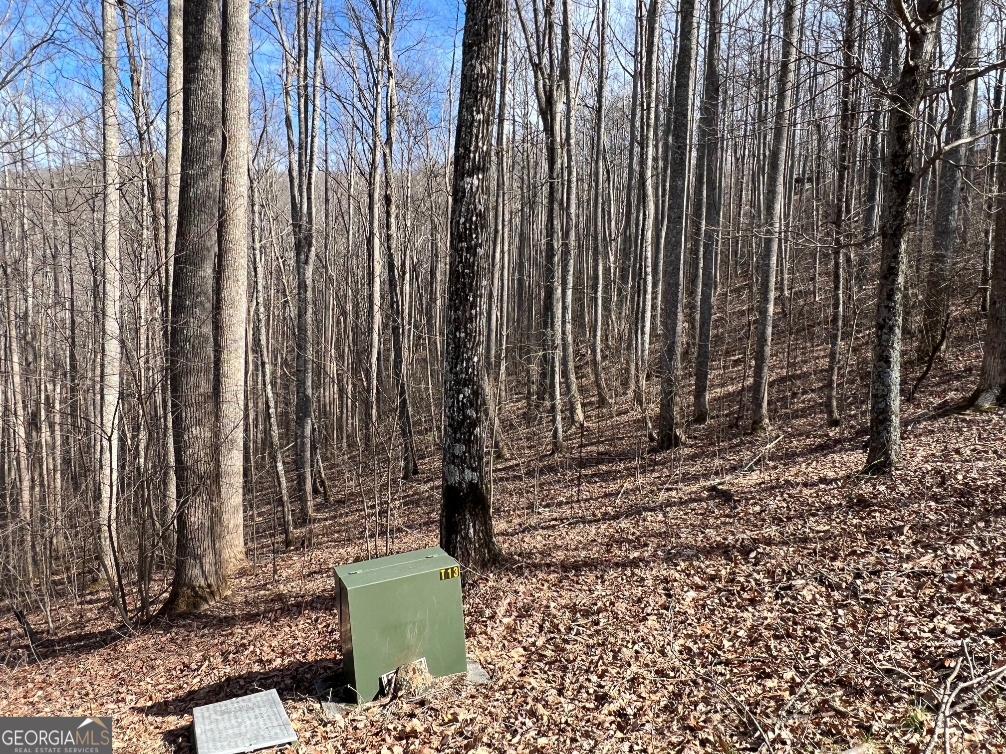 57 Rim Rock Young Harris, GA 30582 - Photo 16 of 16