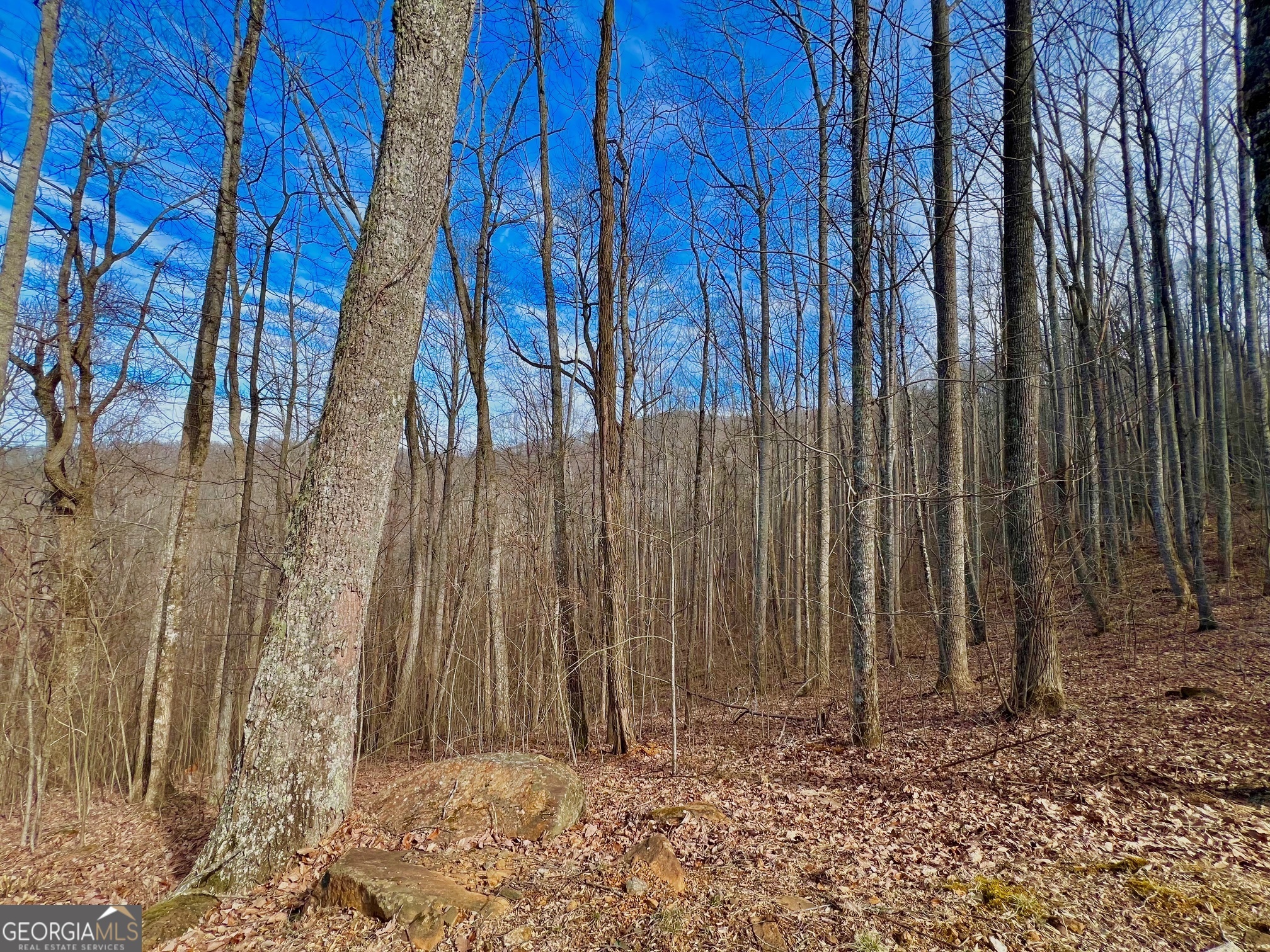 57 Rim Rock Young Harris, GA 30582 - Photo 3 of 16