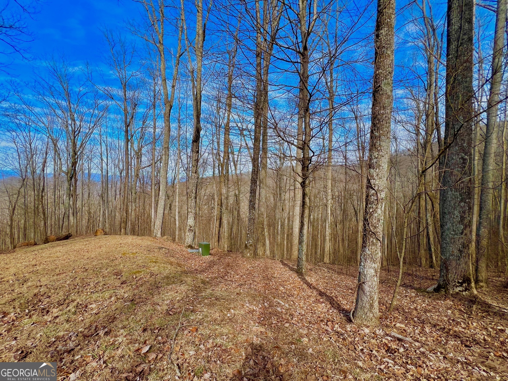 57 Rim Rock Young Harris, GA 30582 - Photo 4 of 16