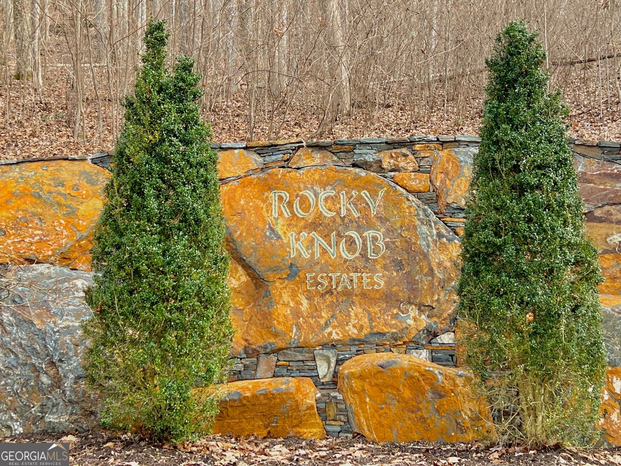 57 Rim Rock Young Harris, GA 30582 - Photo 5 of 16