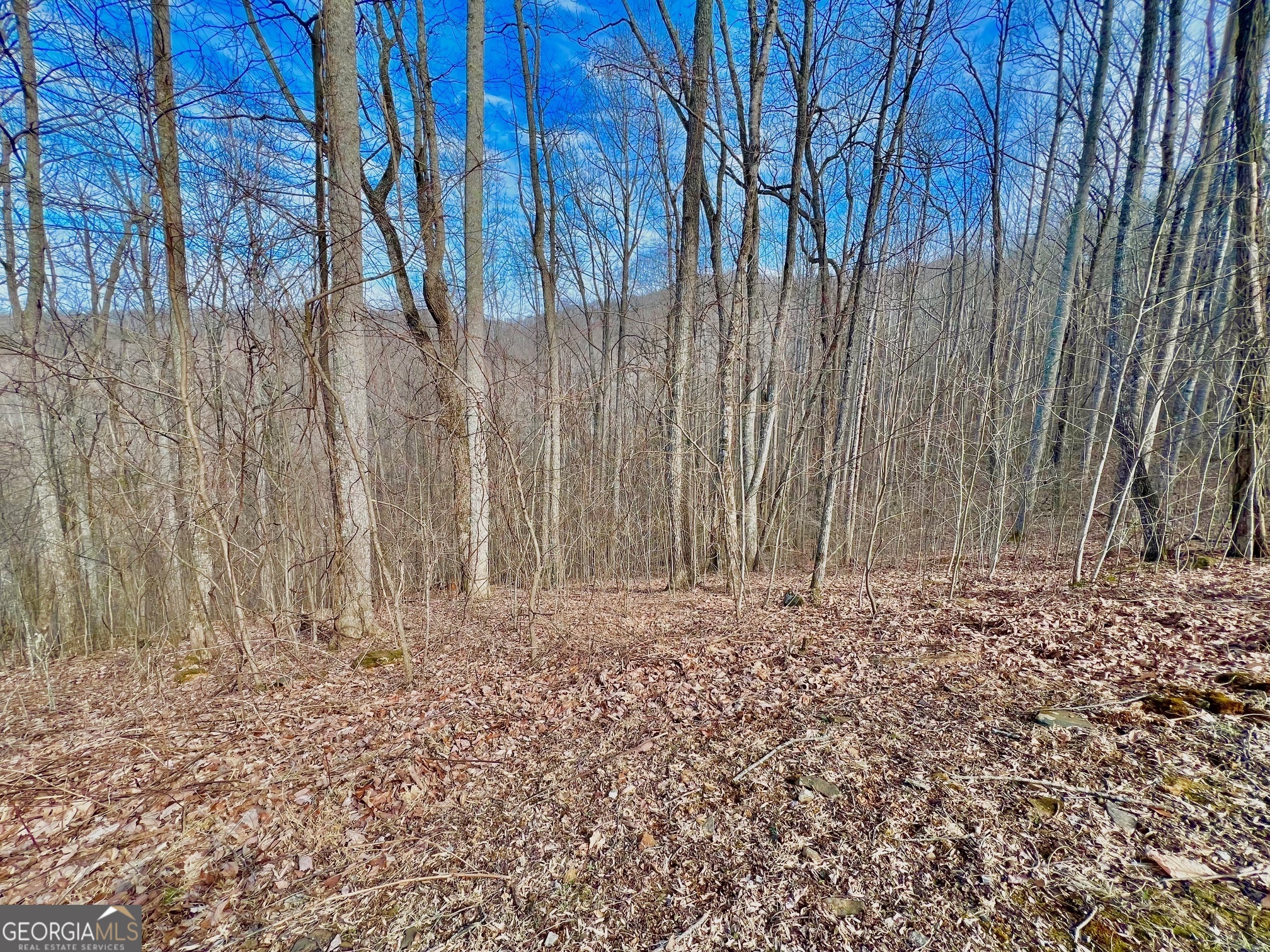 57 Rim Rock Young Harris, GA 30582 - Photo 7 of 16