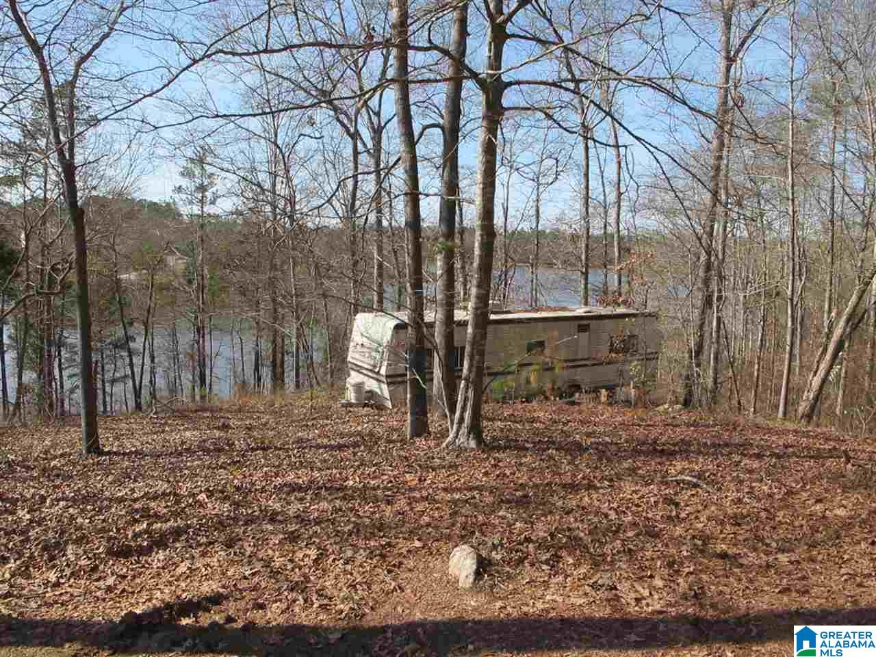 0 County Road 256 Wedowee, AL 36278 - Photo 8 of 8
