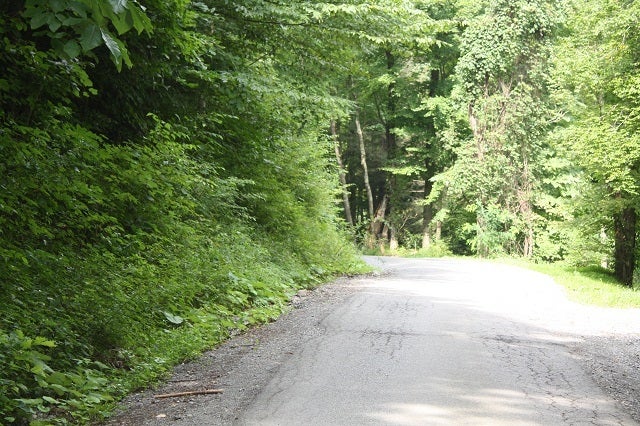 8906 Ridgelawn Road Nettie, WV 26681 - Photo 12 of 14 Subject fronts Lost Road also.