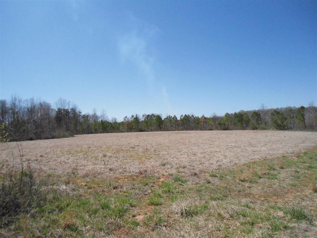 Boone Road Elon, NC 27244 - Photo 2 of 12 Gallery Image 2