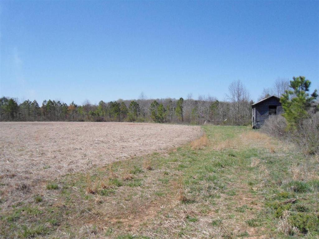 Boone Road Elon, NC 27244 - Photo 4 of 12 Gallery Image 4
