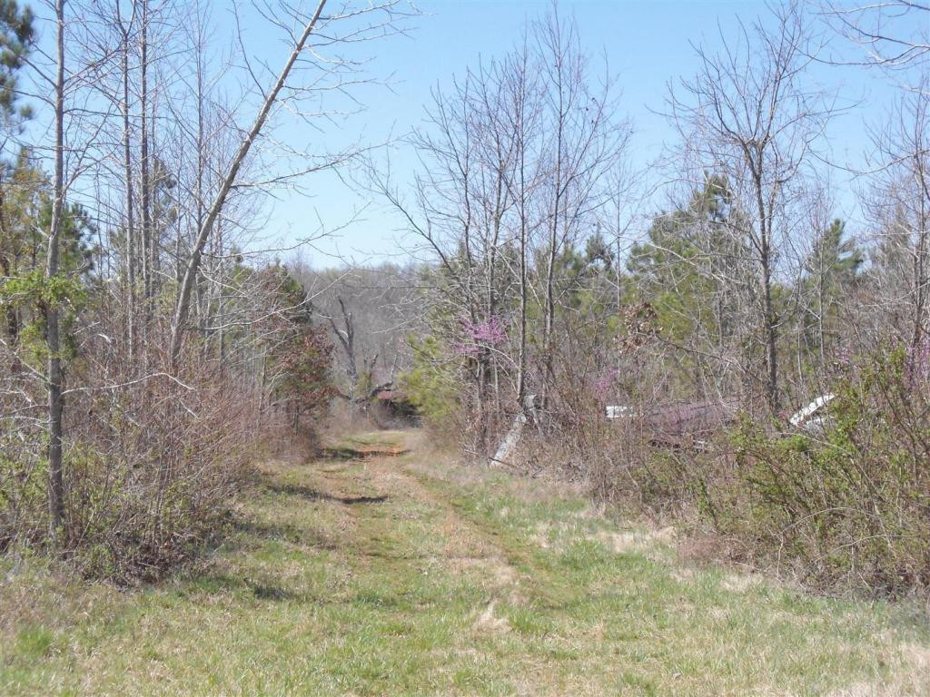 Boone Road Elon, NC 27244 - Photo 6 of 12 Gallery Image 6