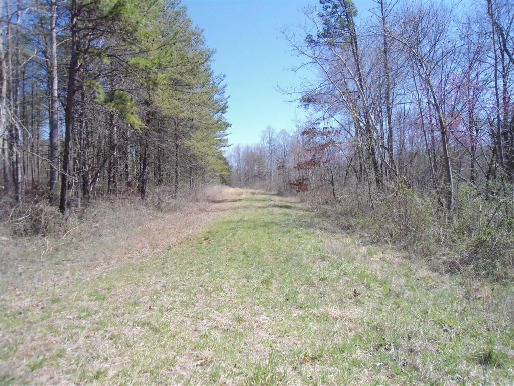 Boone Road Elon, NC 27244 - Photo 10 of 12 Gallery Image 10