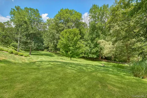 a view of a field with a tree