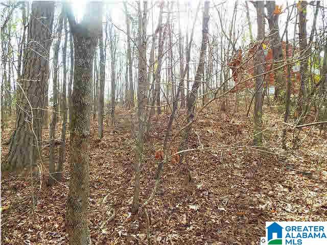 1 Ransome Drive, Unit 1 Oneonta, AL 35121 - Photo 6 of 6