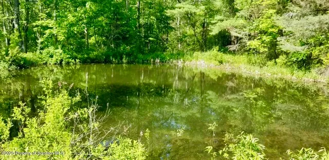 a view of yard with green space