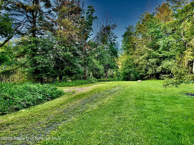 a view of yard with green space
