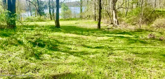 a view of a wooden bench under an umbrella