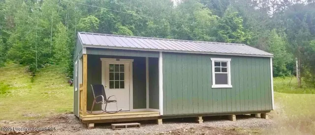 a view of a garden with plants and large trees