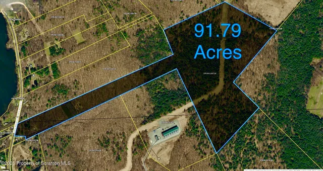 a view of a chair and table in the garden