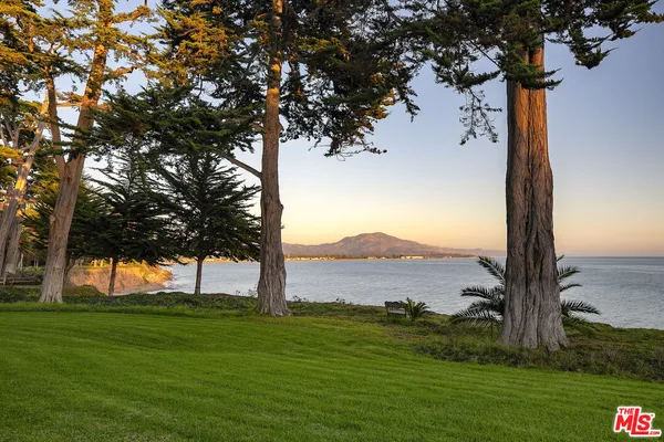 a view of a field with a tree in the background