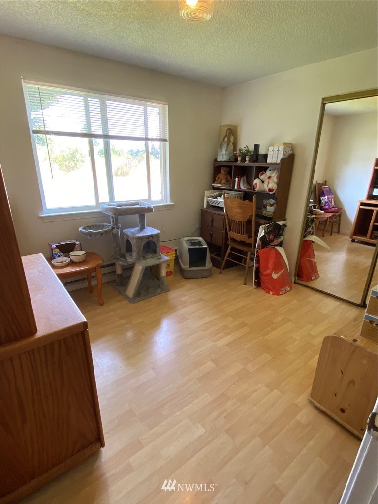 18911 Guava Street Southwest Rochester, WA 98579 - Photo 11 of 18 Gallery Image 11
