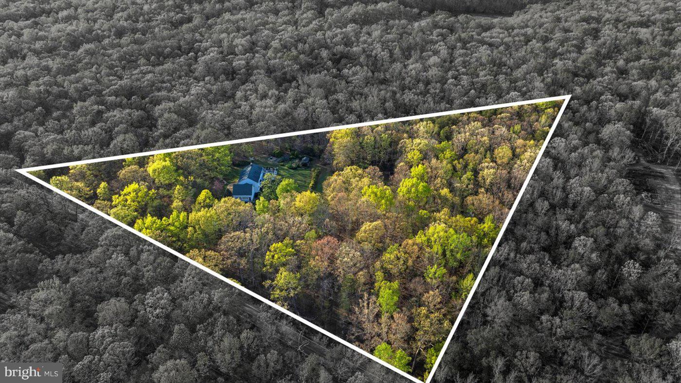 13037 Orange Plank Road Locust Grove, VA 22508 - Photo 4 of 71