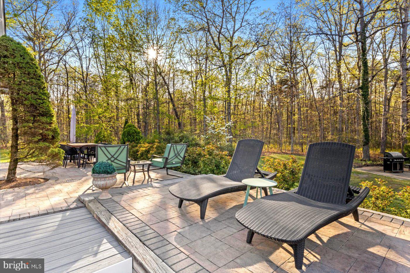 13037 Orange Plank Road Locust Grove, VA 22508 - Photo 54 of 71 a view of a lounge chairs in the patio
