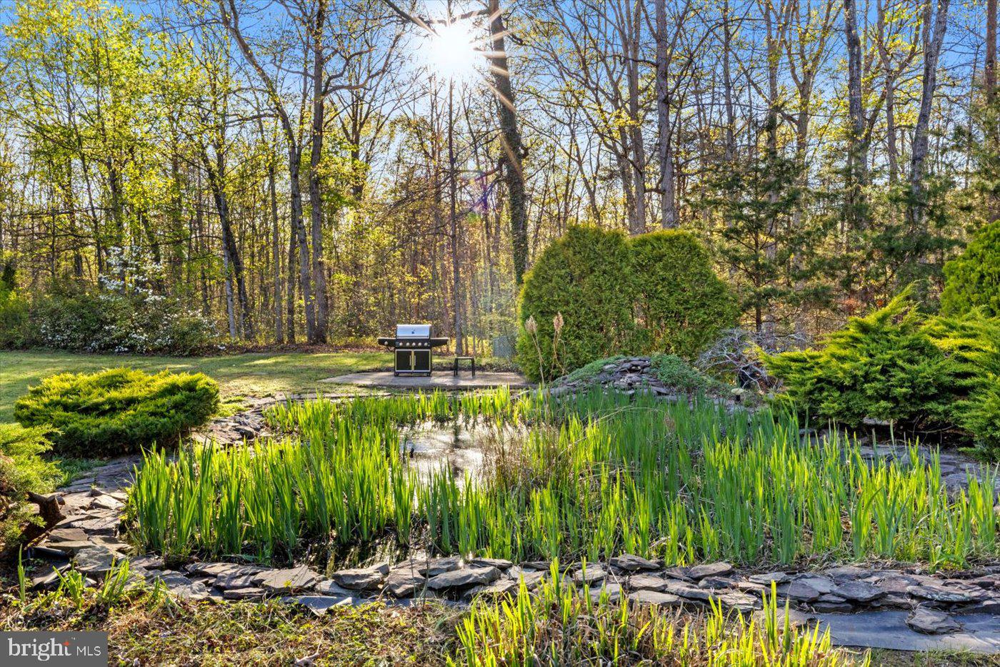 13037 Orange Plank Road Locust Grove, VA 22508 - Photo 65 of 71 a view of swimming pool with a yard