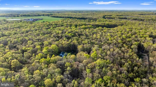 $774,998 | 13037 Orange Plank Road, Locust Grove, VA 22508