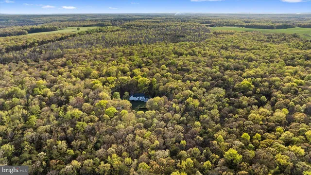 $774,998 | 13037 Orange Plank Road, Locust Grove, VA 22508