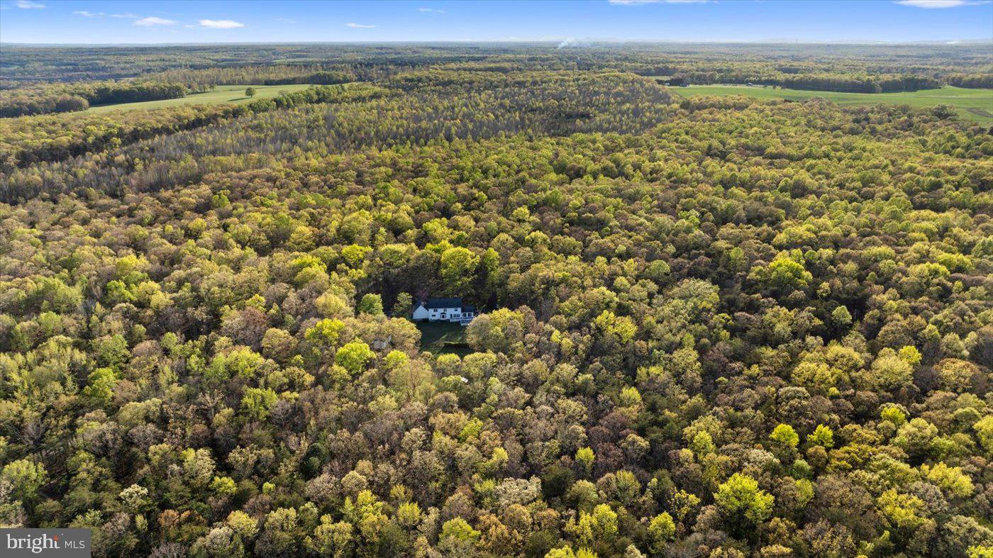13037 Orange Plank Road Locust Grove, VA 22508 - Photo 70 of 71