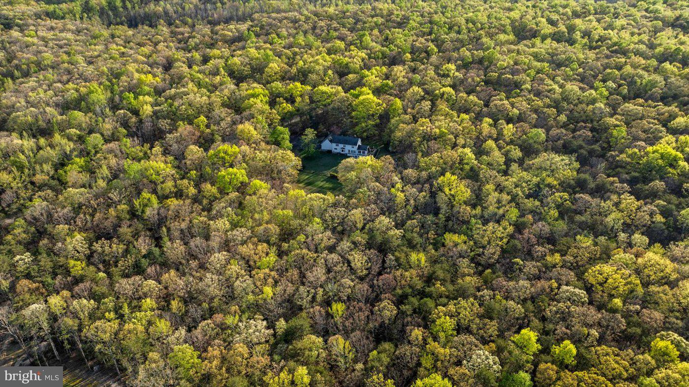 13037 Orange Plank Road Locust Grove, VA 22508 - Photo 71 of 71 a view of a large yard